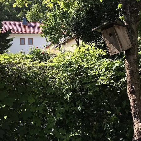 Ferienhaus Taunus Ii Braunfels