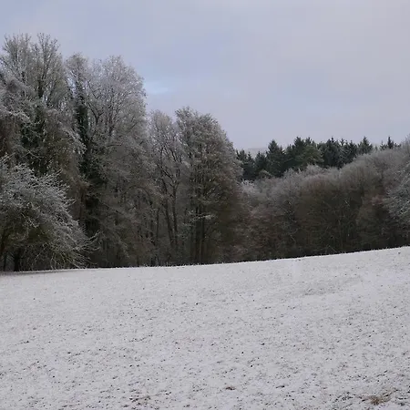 Holiday home Ferienhaus Taunus Ii *