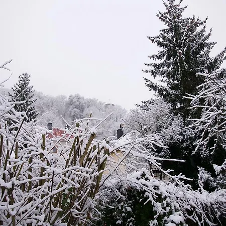 Ferienhaus Taunus Ii Holiday home